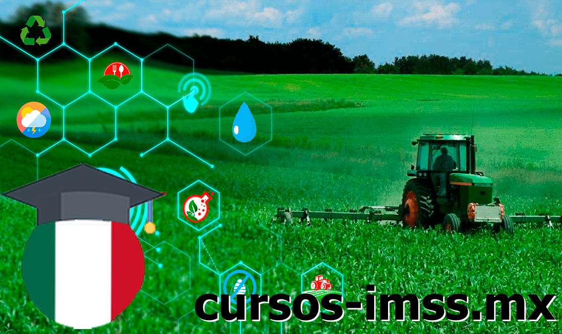 Cursos de Tecnologías para una Producción Agrícola de Bajo Impacto ofrecido por Cursos IMSS