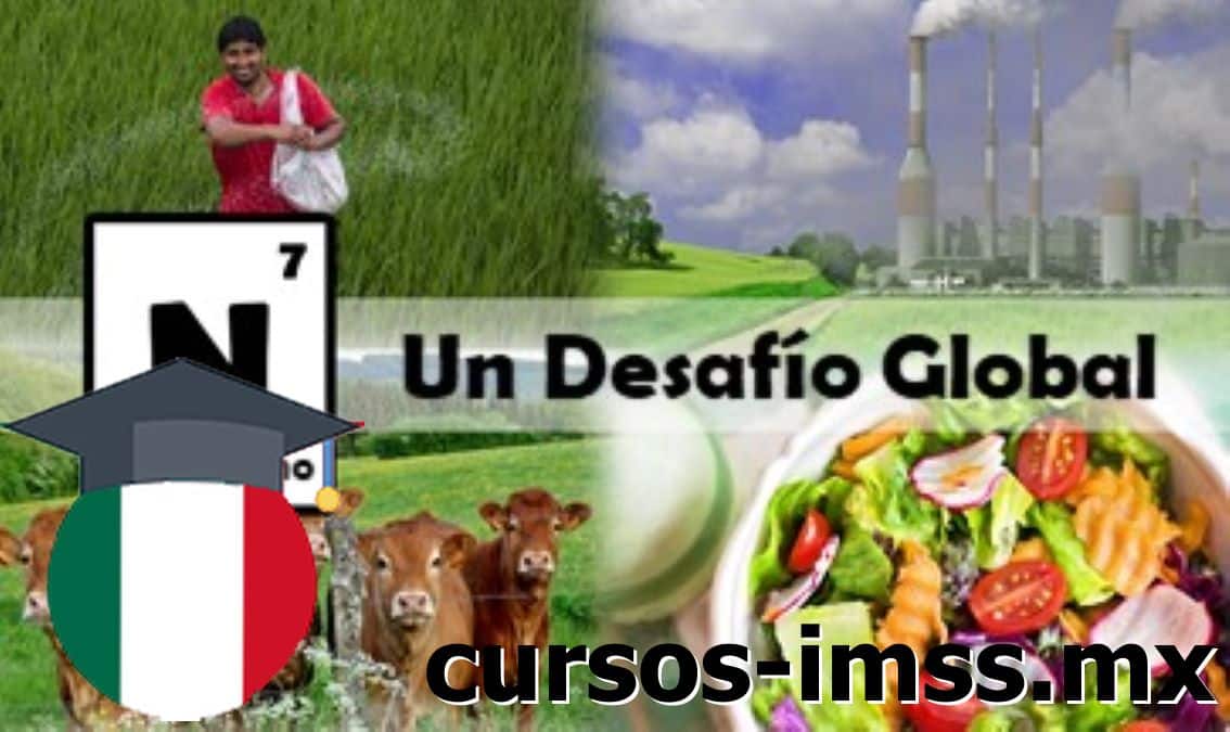Cursos de Nitrogen: A Global Challenge (Spanish) ofrecido por Cursos IMSS