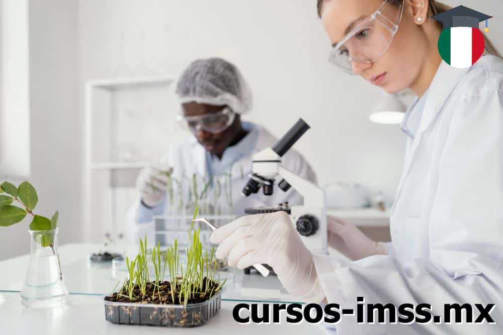 cursos IMSS del sector de la biología y ciencias humanas