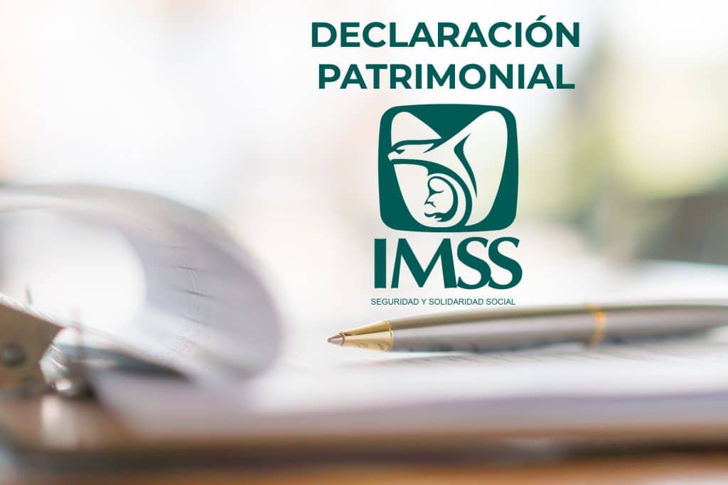 Informe con la declaración patrimonial del IMSS realizada por un ciudadano mexicano.